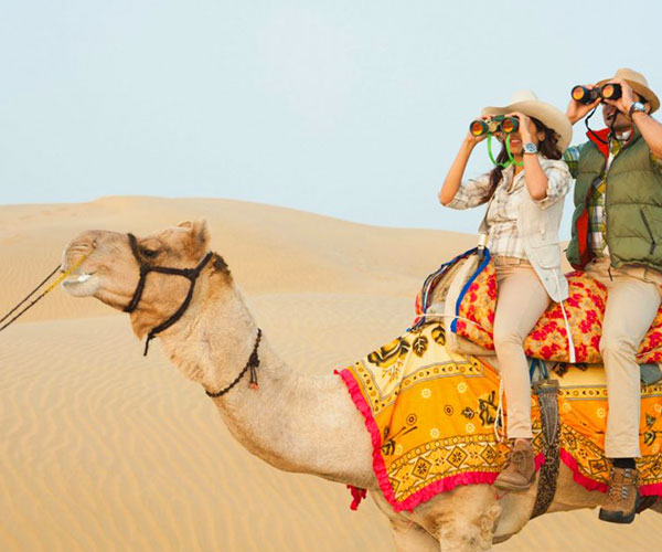 Sangram Desert Camp, Jaisalmer